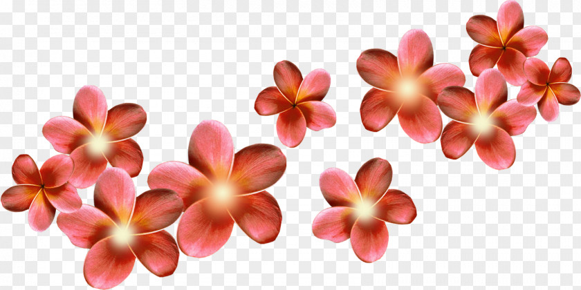 Flower Desktop Wallpaper Clip Art PNG