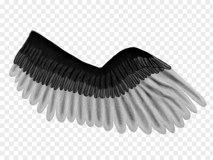 Pegasus Wing Brush Eyelash PNG