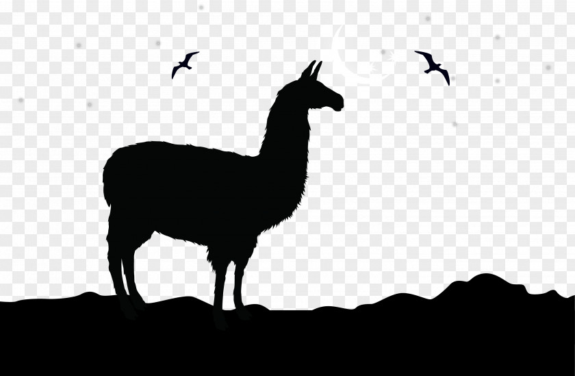 Vector Camel Silhouette Illustration Alpaca Llama Logo Clip Art PNG