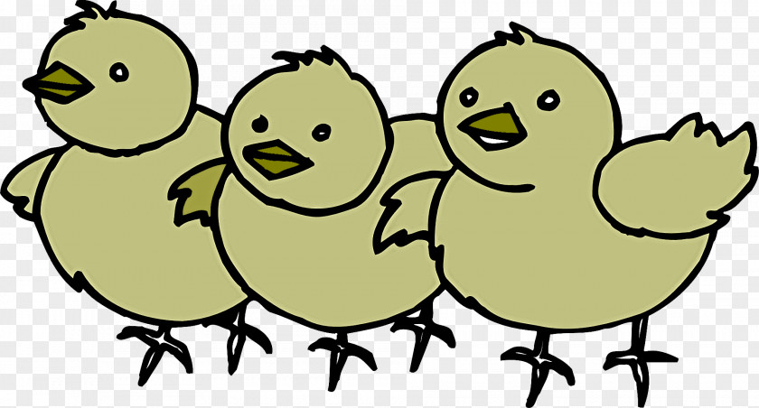Yellow Cartoon Beak Line Art Bird PNG