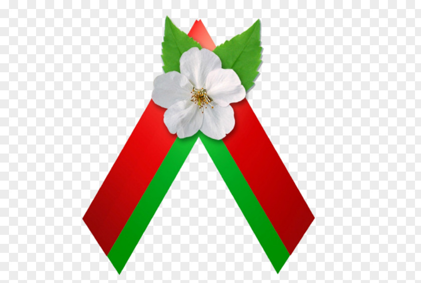 Baranavichy Victory Day Great Patriotic War Speckombinat KBO Up May PNG
