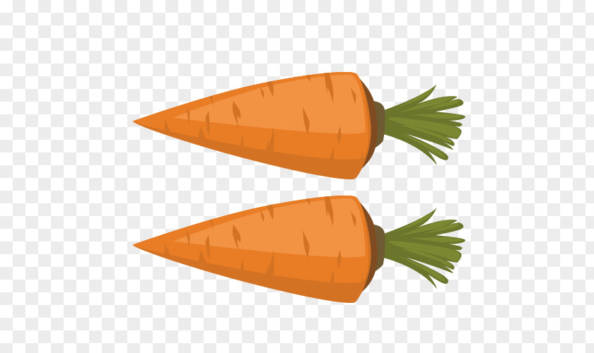 Cartoon Carrot Vegetable PNG