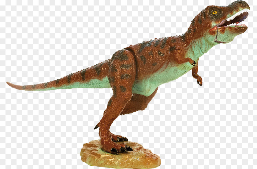 Dinosaur Tyrannosaurus Giganotosaurus Spinosaurus Velociraptor PNG
