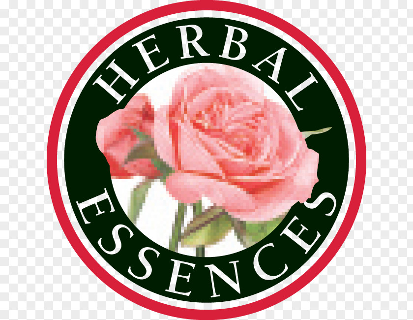 Herbal Essences Logo Hair Conditioner Shampoo Personal Care PNG