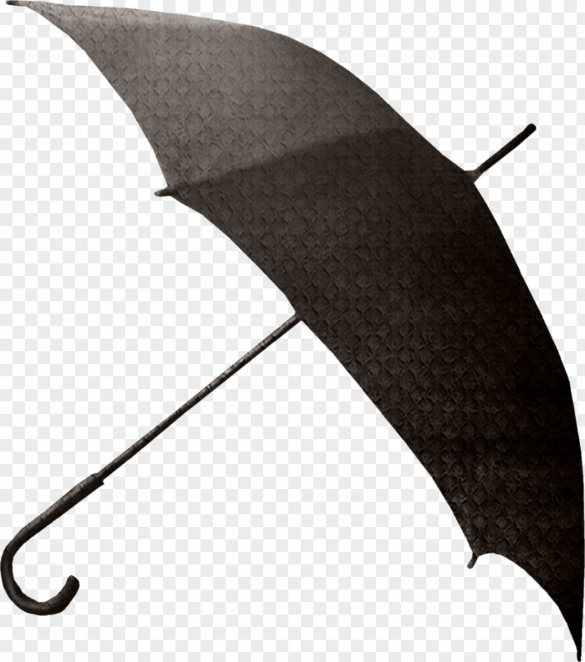 Umbrella Amazon.com Designer Clothing Accessories Brand PNG