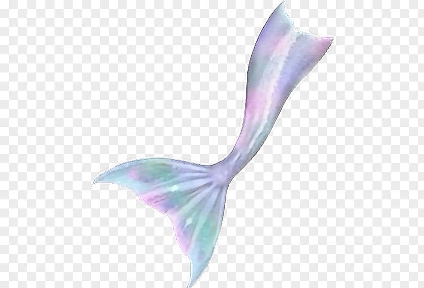 Watercolor Mermaid Fin Fun Monofin Tail PNG