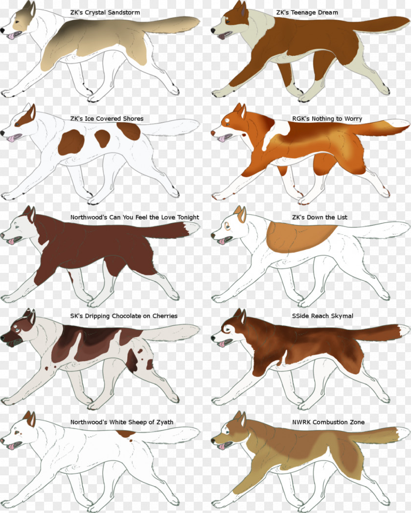 Dog Canidae Clip Art PNG