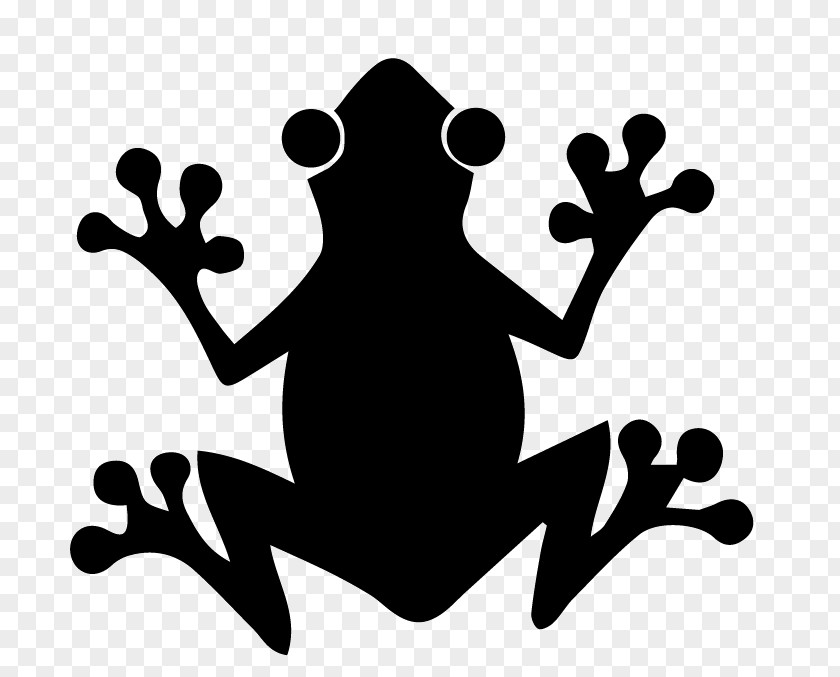 Frog The Tree Silhouette PNG