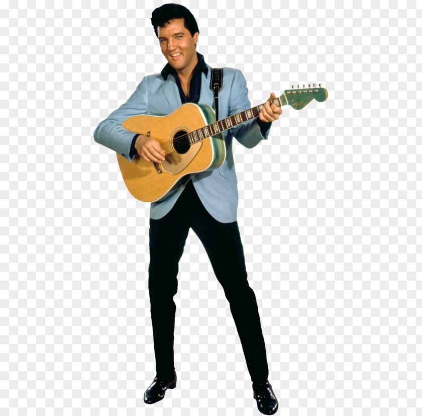 Guitar Elvis Presley Fender Stratocaster Coronado Jazzmaster Musical Instruments Corporation PNG