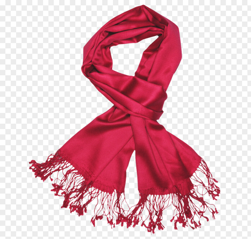 Hat Scarf Coat Shawl Pashmina PNG