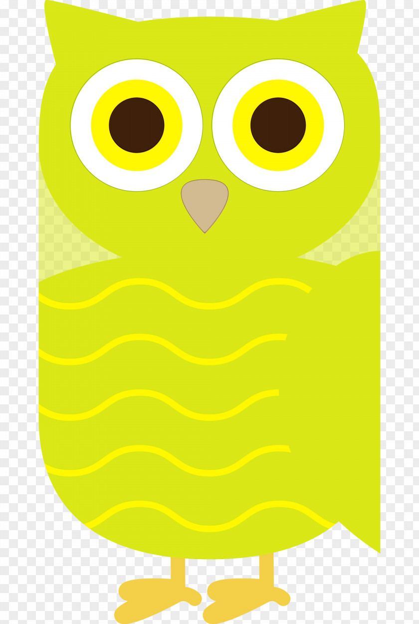 Owl M Yellow Meter Beak Area PNG