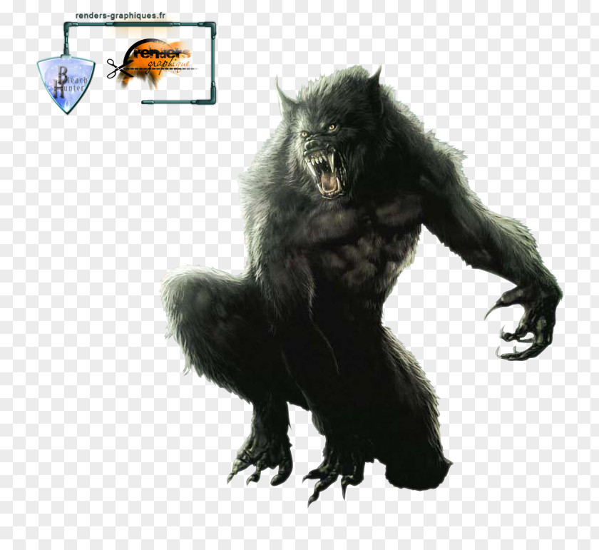 Werewolf Gray Wolf Drawing Clip Art PNG
