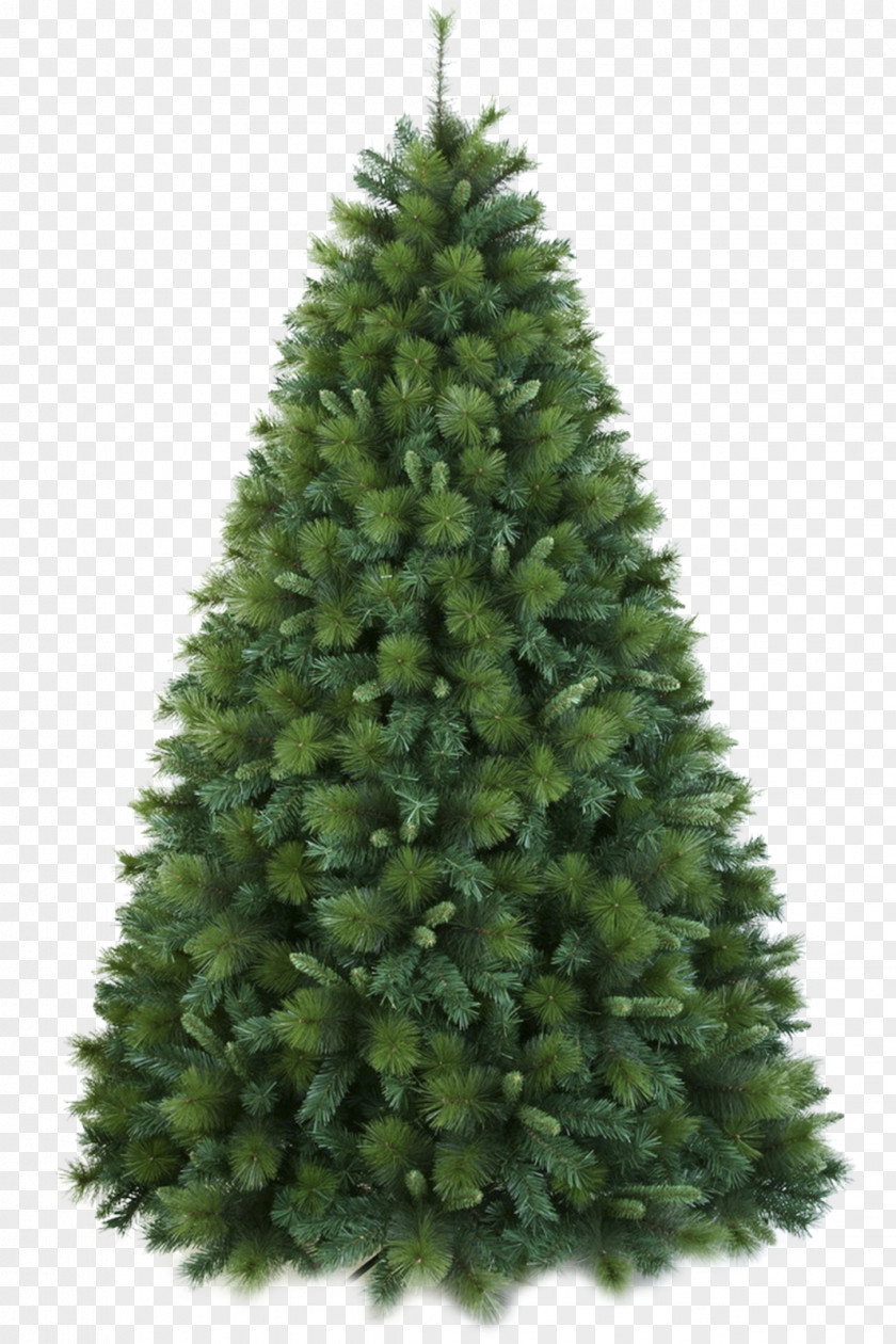 Christmas Tree Artificial Douglas Fir PNG