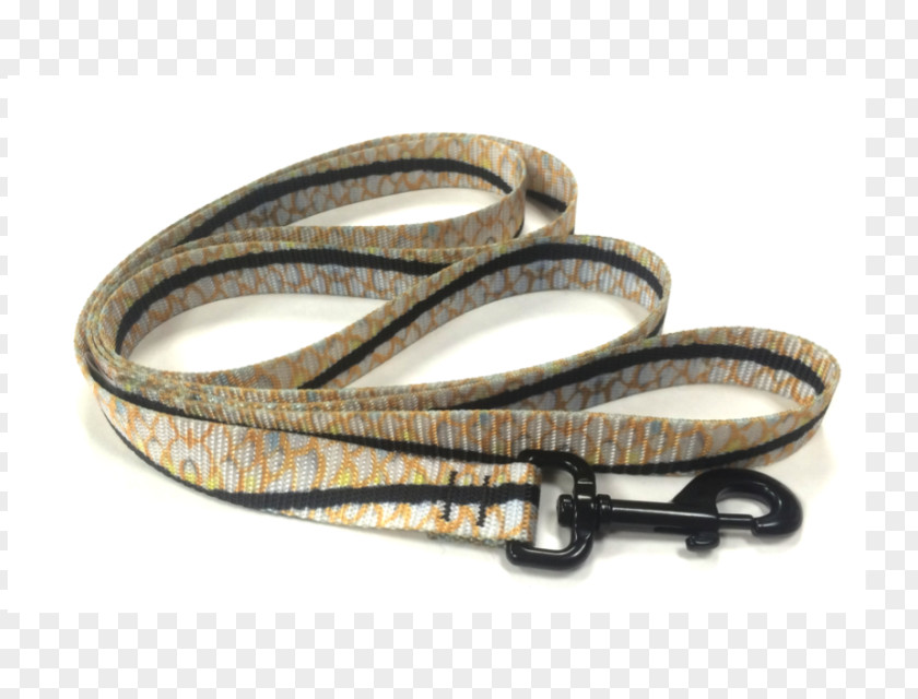 Dog Leash PNG