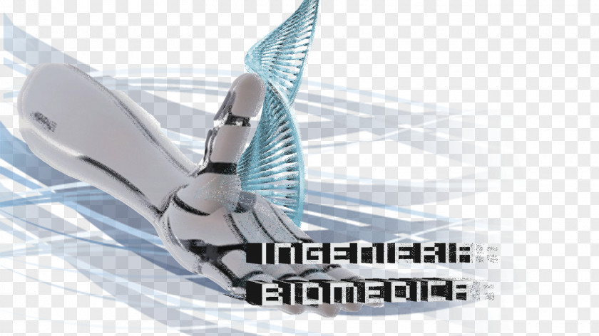 Esfera Biomedical Engineering Biomedicine Technology Human Factors And Ergonomics PNG
