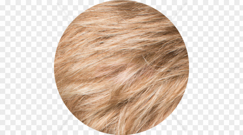 Hair Blond Coloring Brown PNG