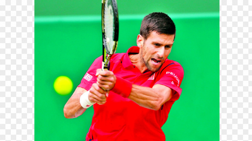 Novak Djokovic Racket Tennis Player Ball Game Sport PNG