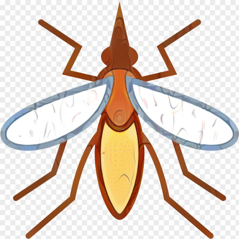 Symmetry Membranewinged Insect Design Icon PNG