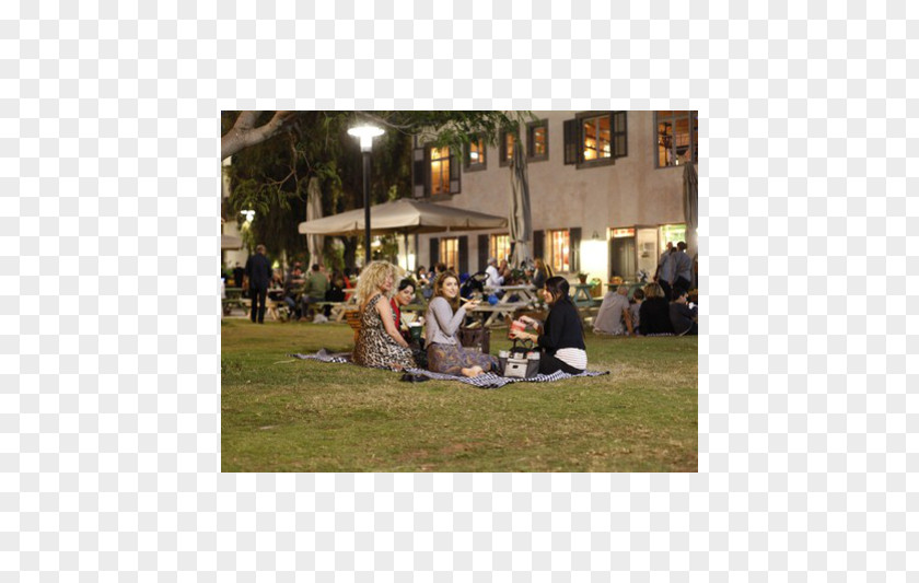 Tel Aviv District Lawn Recreation PNG