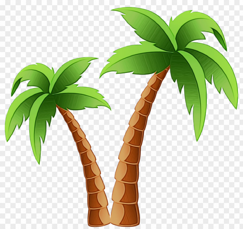 Woody Plant Flowerpot Palm Tree PNG