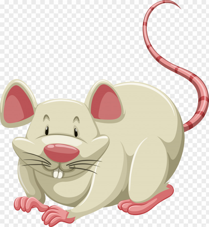 Animals Vector Rat Computer Mouse Clip Art PNG