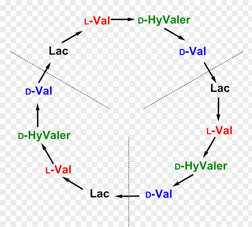 Combinations Valinomycin Gramicidin S Diagram Product PNG
