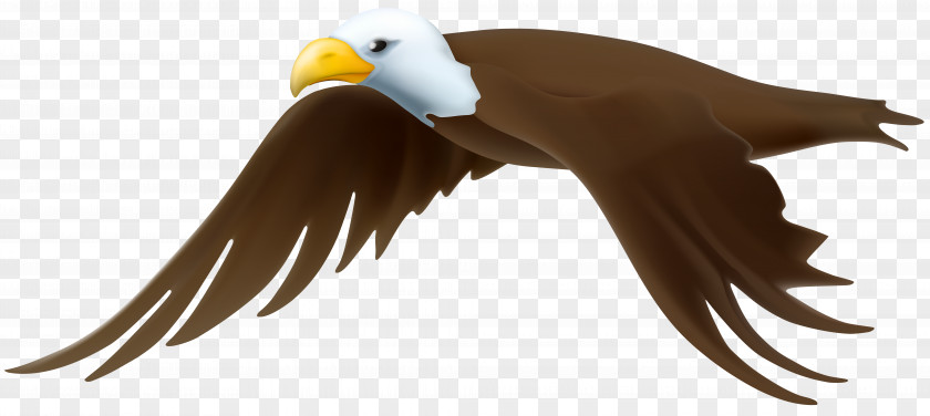 Eagle Transparent Clip Art Image PNG