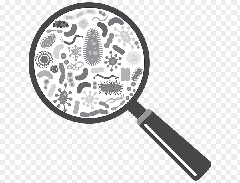 Heat Cramps Microorganism Bacteria Virus Infection PNG