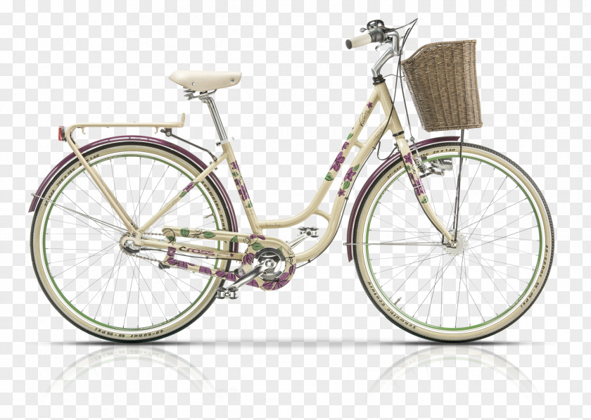 Bicycle Electric Cyclo-cross Hybrid PNG