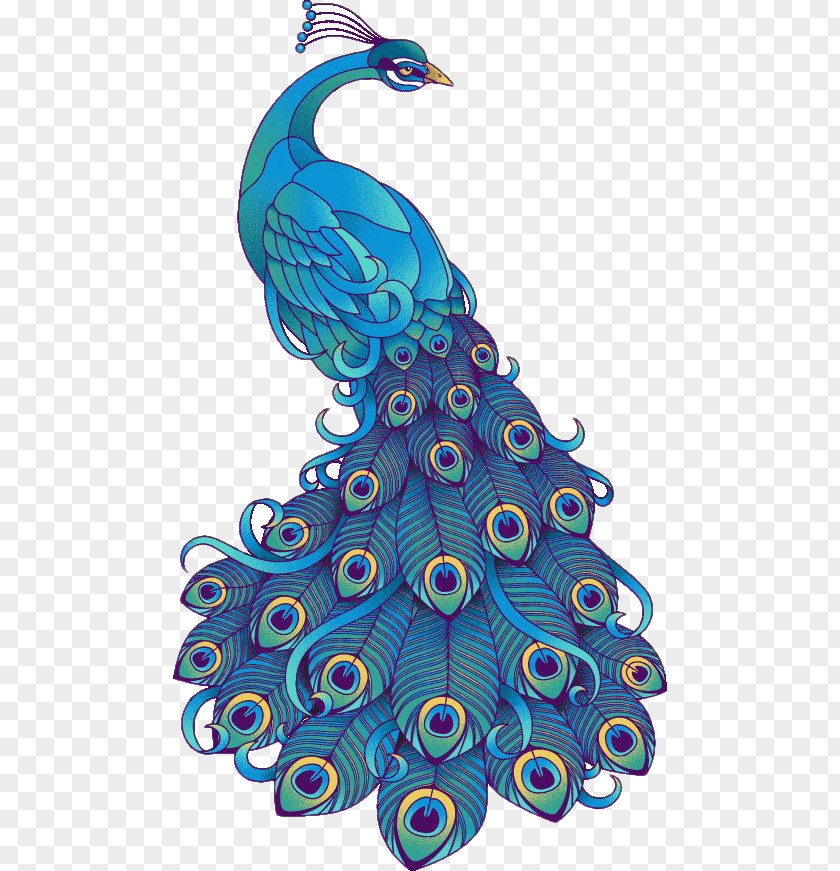 Hand-painted Beautiful Blue Peacock Visual Arts Bird Peafowl Drawing Clip Art PNG