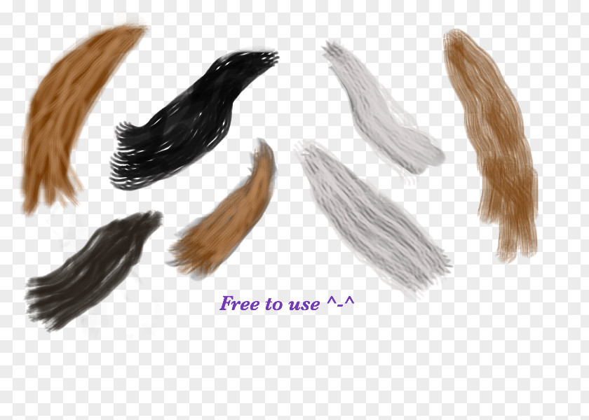Horse Tail PNG