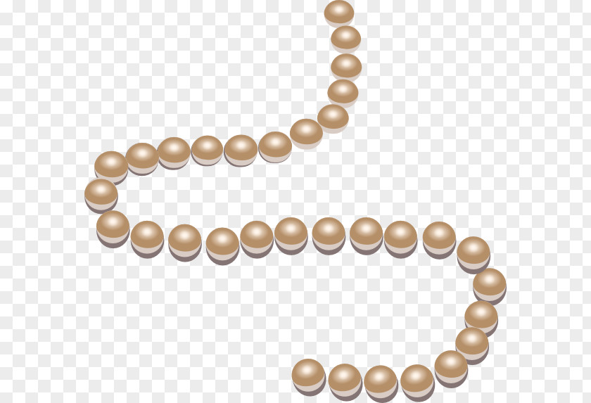 Pearls Jewellery Necklace Clip Art PNG