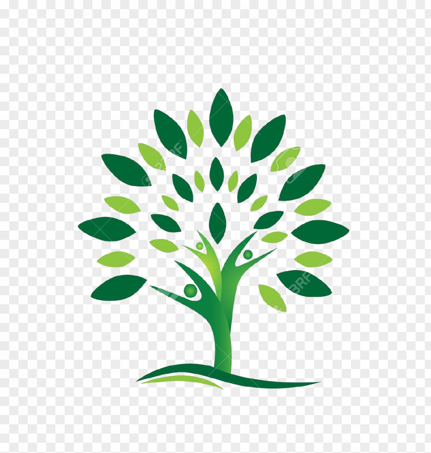 Tree Stock Photography Logo Clip Art PNG