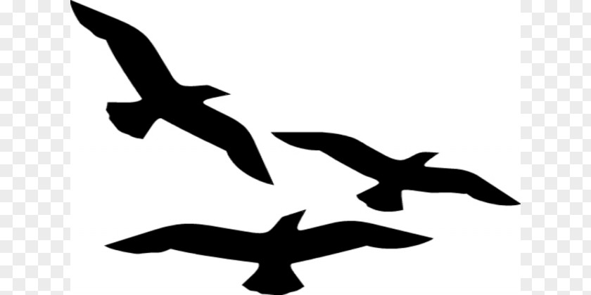 Black Fly Cliparts Bird Flight Silhouette Clip Art PNG