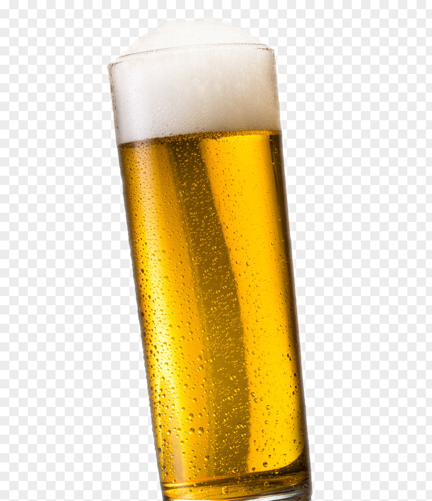 Glass Lager Pint Imperial Highball PNG