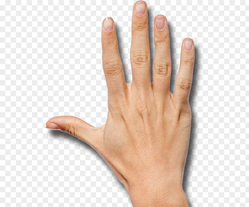 Left Hand Handedness Finger Thumb PNG