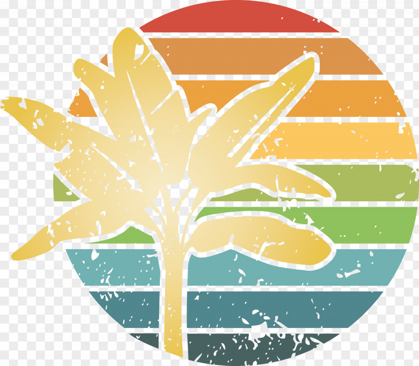 Summer Palm PNG