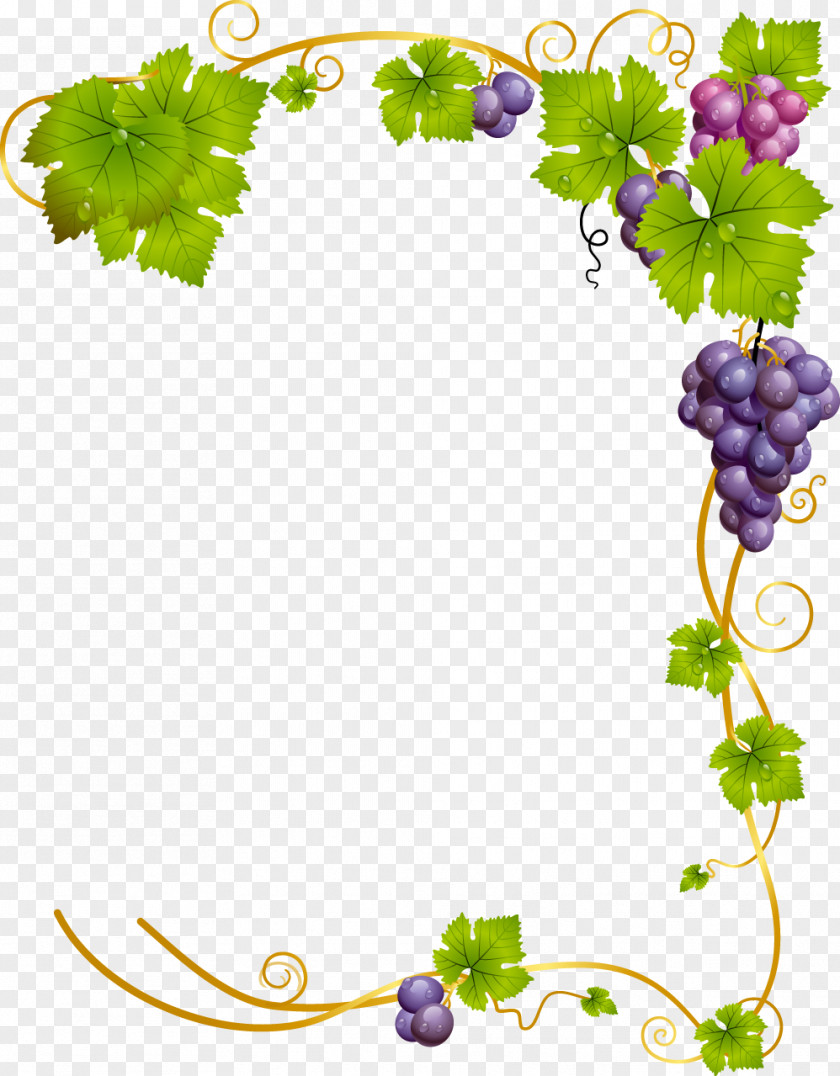 WATERCOLOR LEAF Common Grape Vine Wine PNG