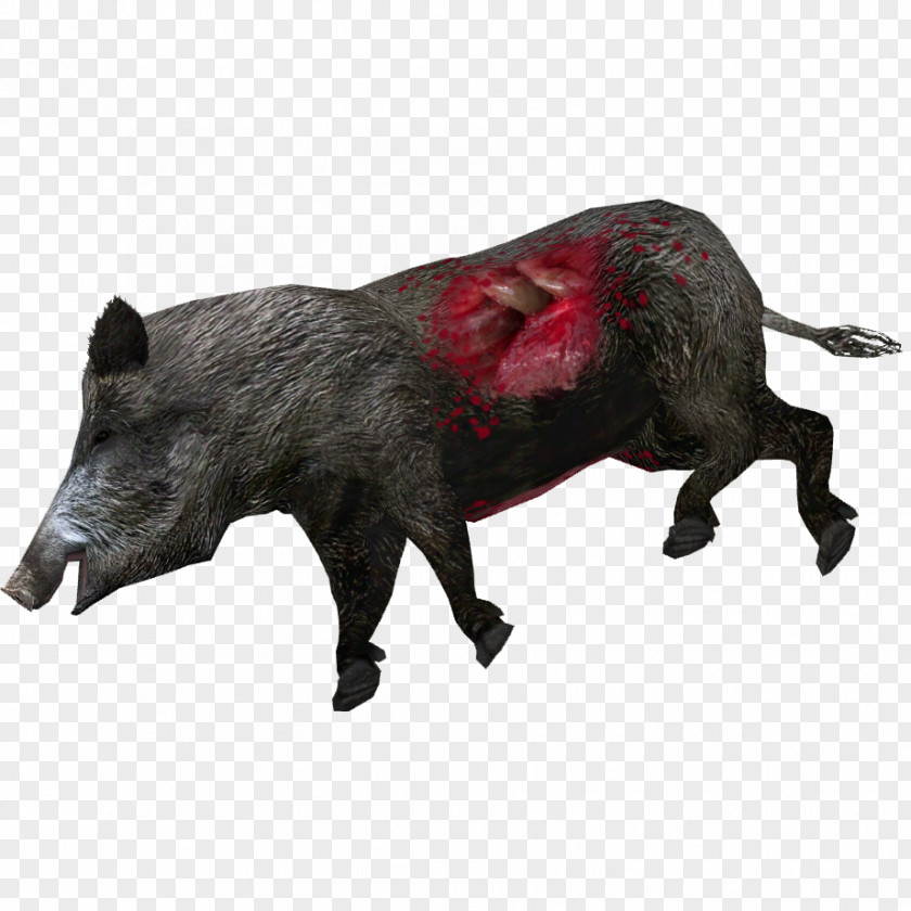 Zoo Tycoon 2 Wild Boar Common Warthog Peccary Wiki PNG