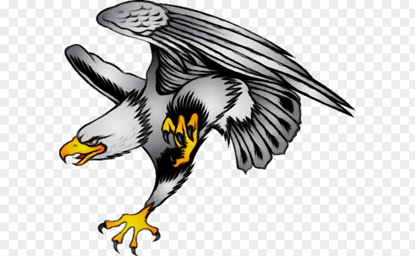 Animal Figure Peregrine Falcon Eagle Drawing PNG