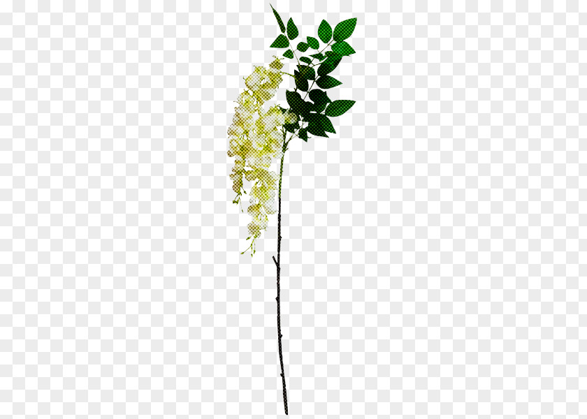 Flower Plant Leaf Stem Twig PNG
