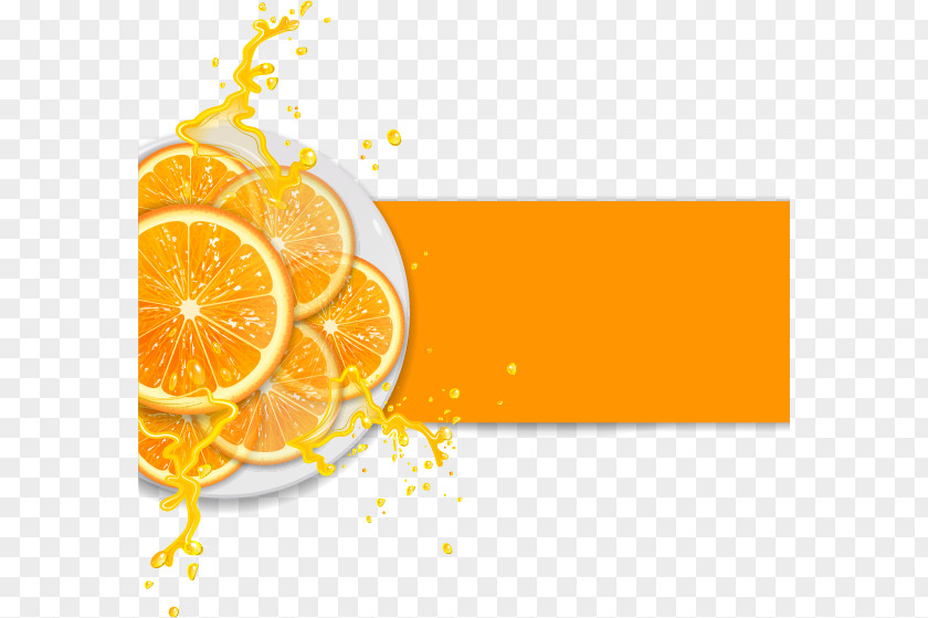 Fresh Lemon Orange Fruit Vector Material Juice Illustration PNG