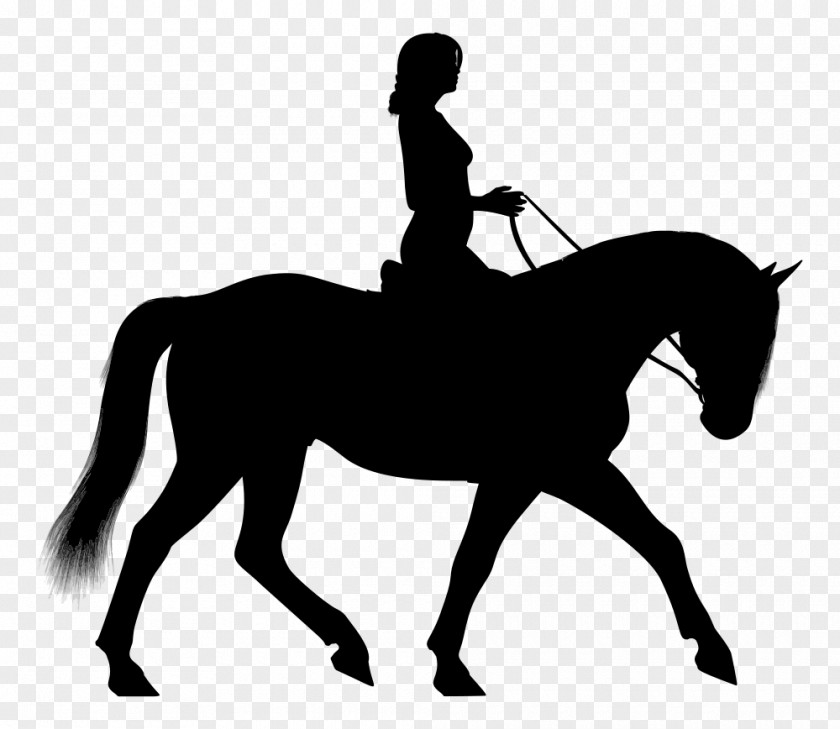 Horse Horse&Rider Equestrian English Riding Clip Art PNG