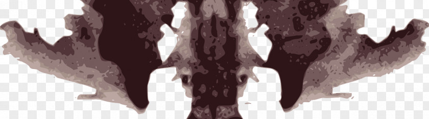 SUMMER CLASS Rorschach Test Ink Blot YouTube Quiz PNG