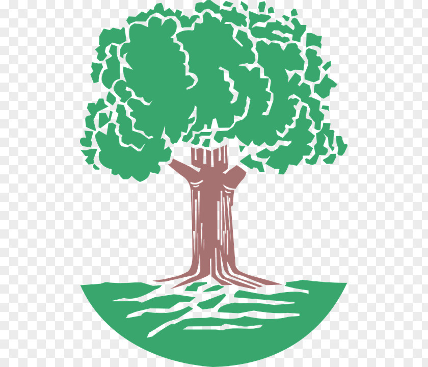 Tree Oak Clip Art PNG