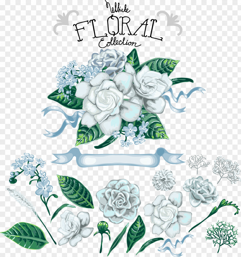 Vector Lilies Floral Design Flower Drawing Illustration PNG
