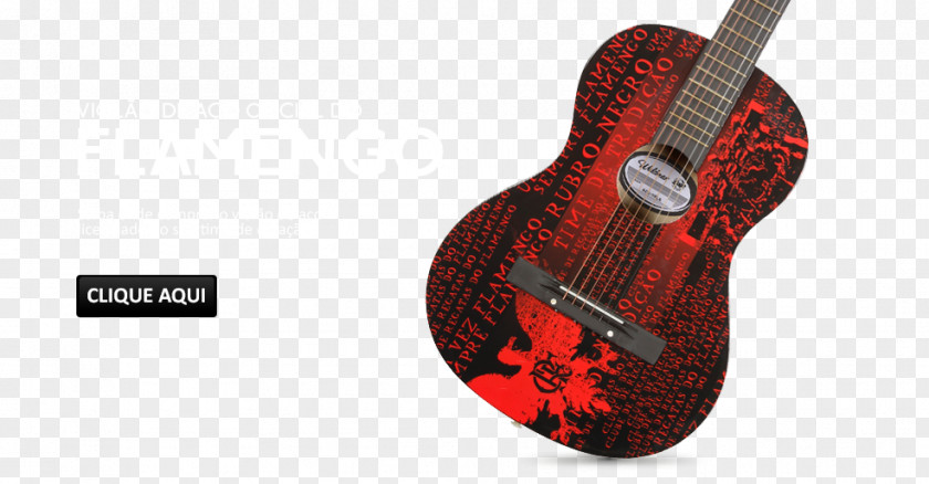 Acoustic Guitar Steel-string Clube De Regatas Do Flamengo Classical PNG
