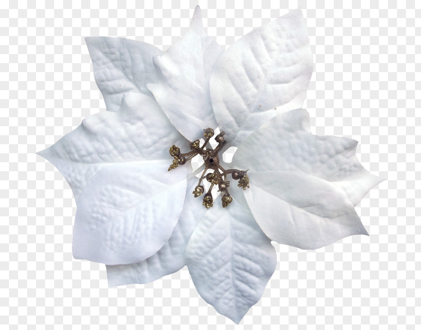 Flower Petal Cut Flowers Hair Clothing Accessories PNG