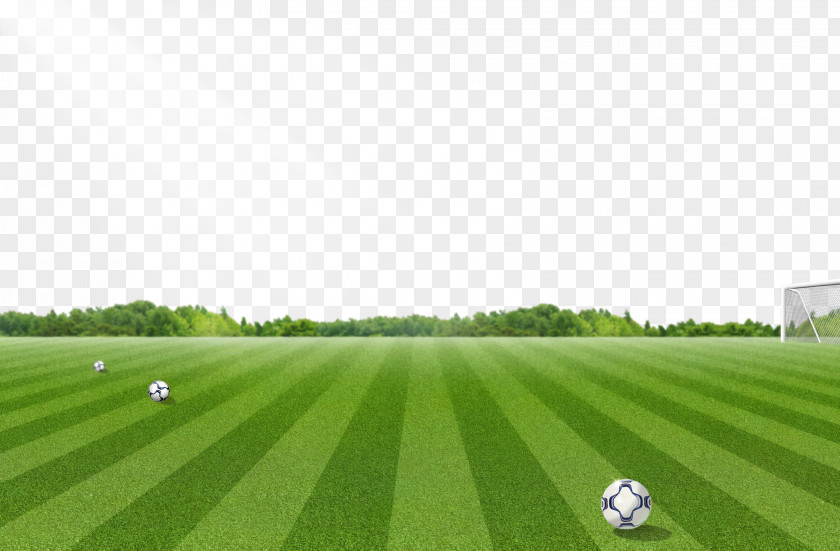 Football Field Pattern Pitch Lawn PNG