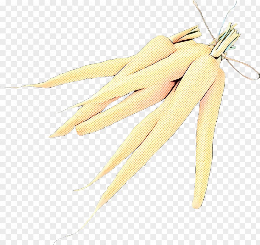 Vegetable Hand Retro Background PNG
